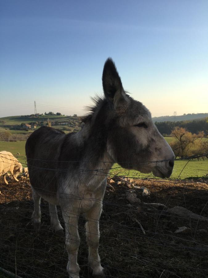Ferme De Simondon * Plats